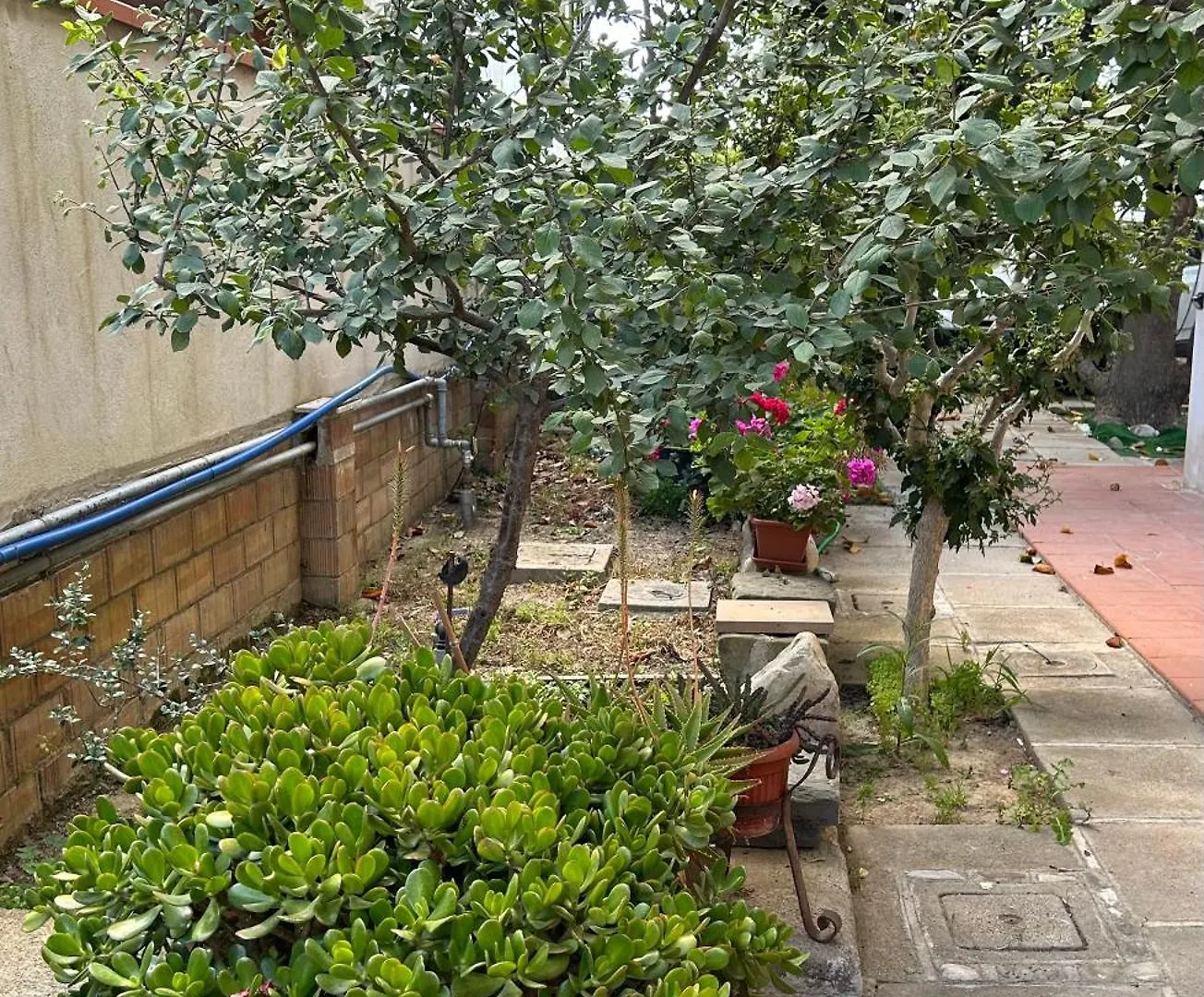 Appartamento Mansamore Grosseto